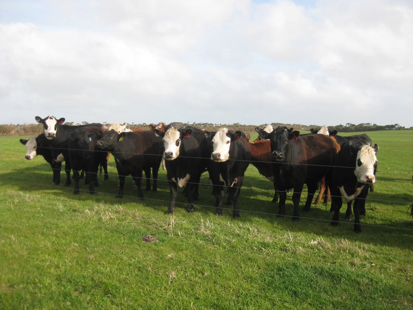 Additional image 6 of Lot 2, 357 Don Kendell Drive, Loorana TAS 7256