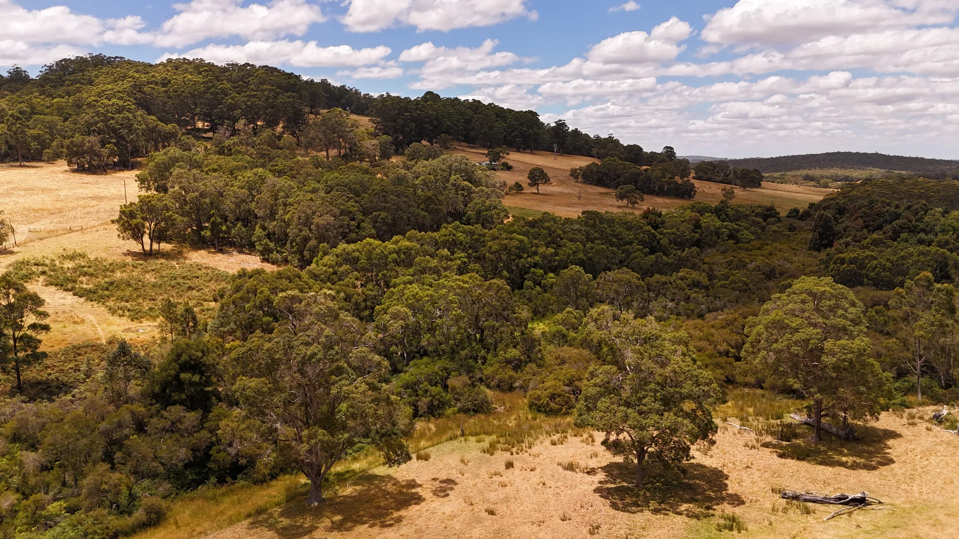 Additional image 8 of 57 Old School Road, Scotsdale WA 6333