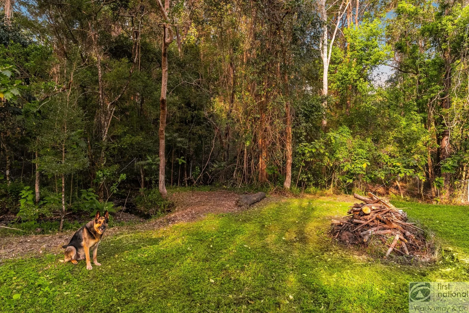 Additional image 20 of 4 Cordyline Road, Rock Valley NSW 2480