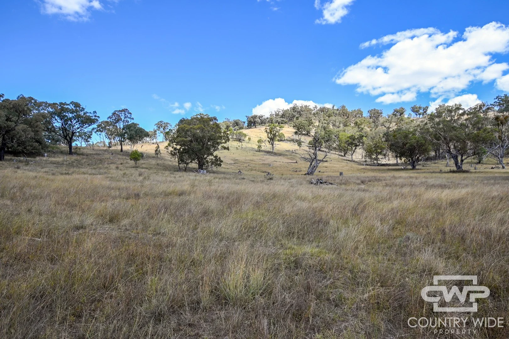 Additional image 3 of 82, 4108 Tent Hill Road, Emmaville NSW 2371