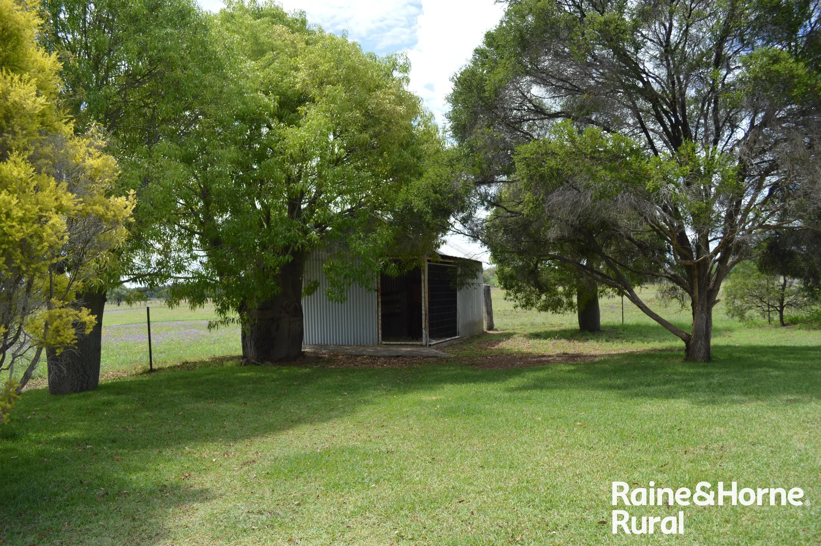 Additional image 19 of 189 Burtons Road, Orange Hill QLD 4455