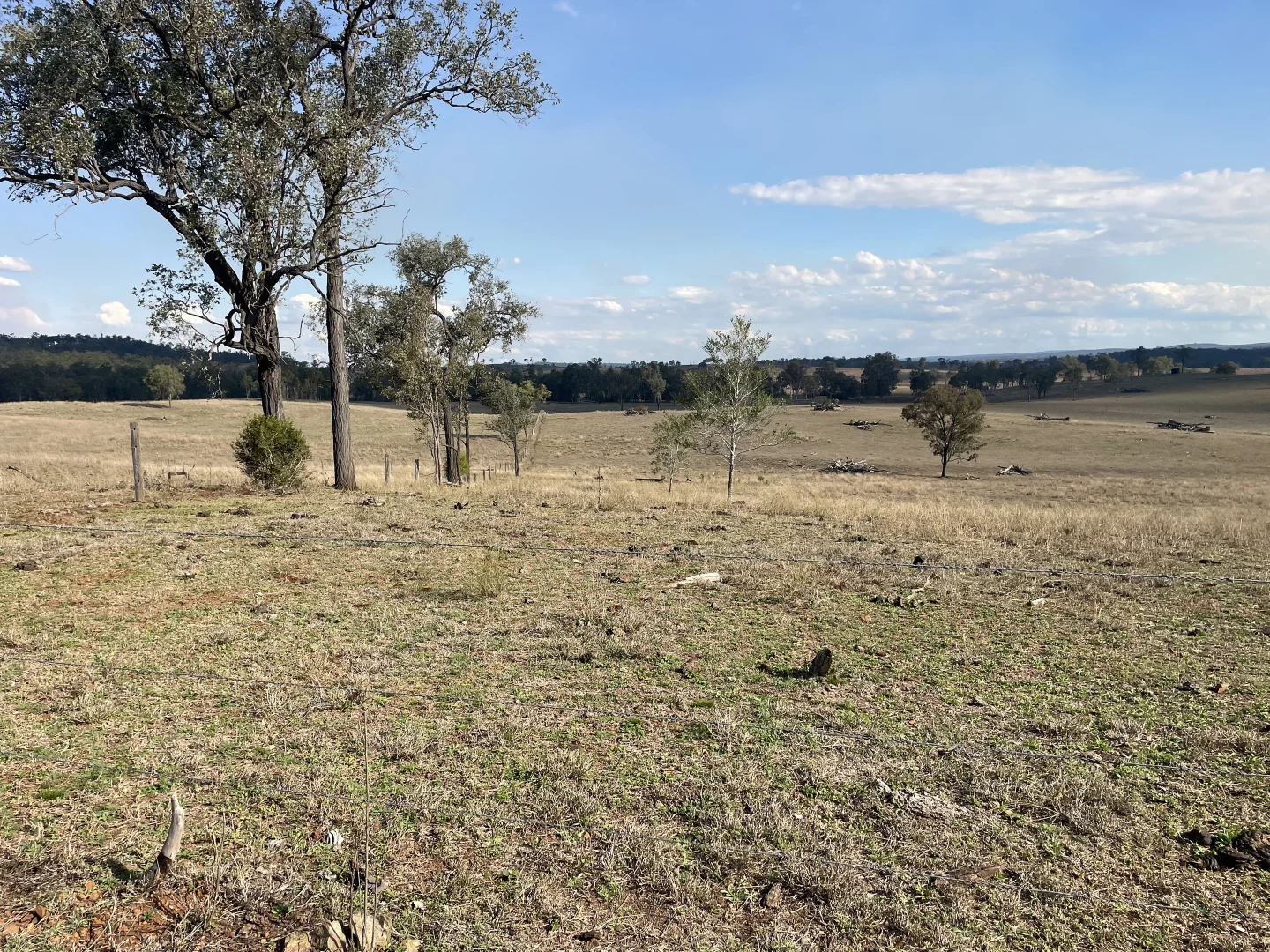 Additional image 6 of 95 Mount Perry Road, Tellebang QLD 4630