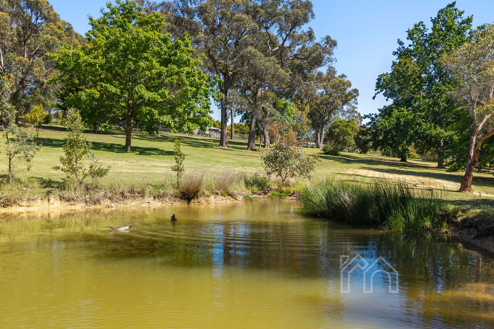 Additional image 21 of 185 Mahoneys Road, Woodend VIC 3442