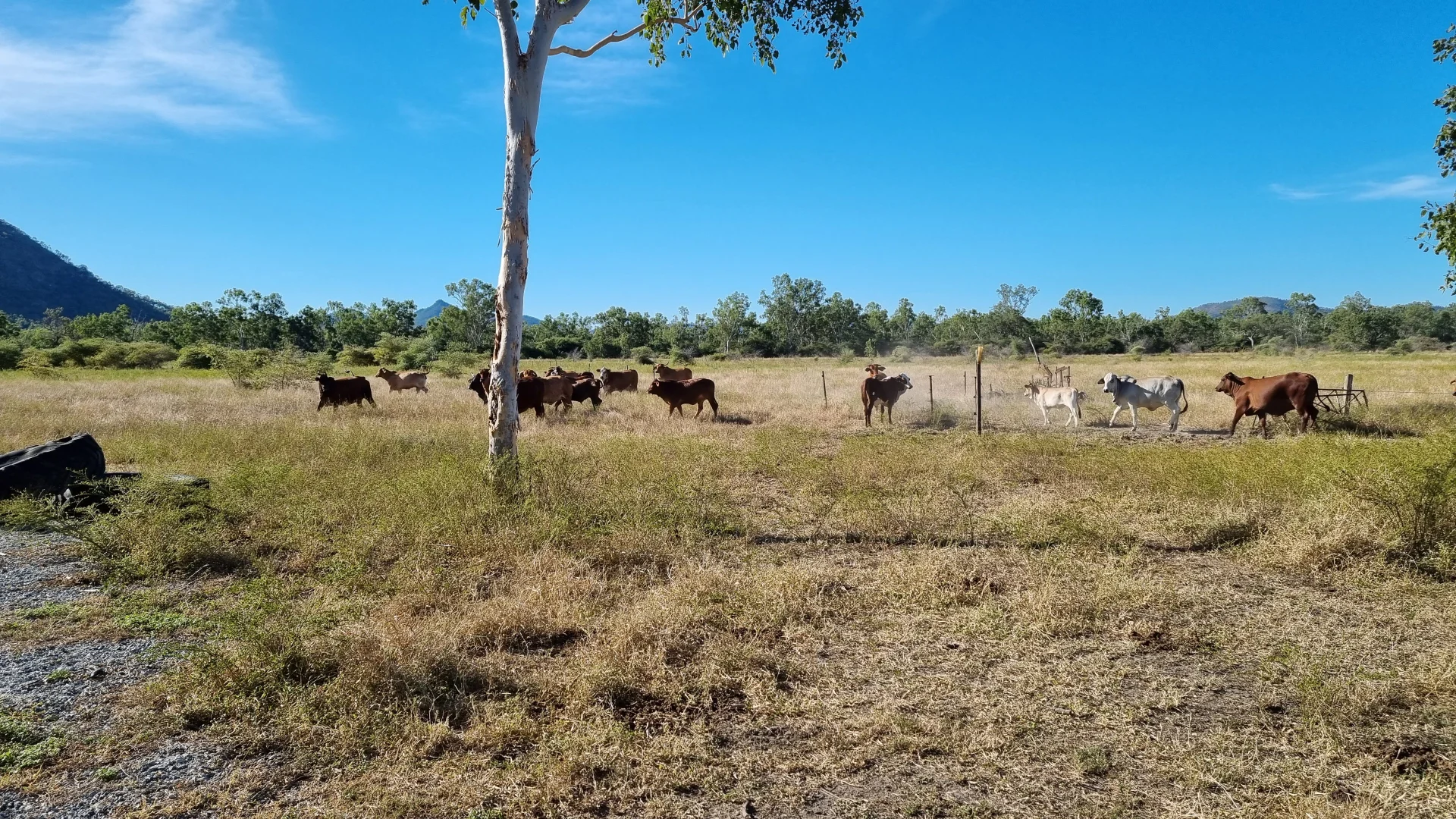 Additional image 10 of 6854 Flinders Highway, Mingela QLD 4816