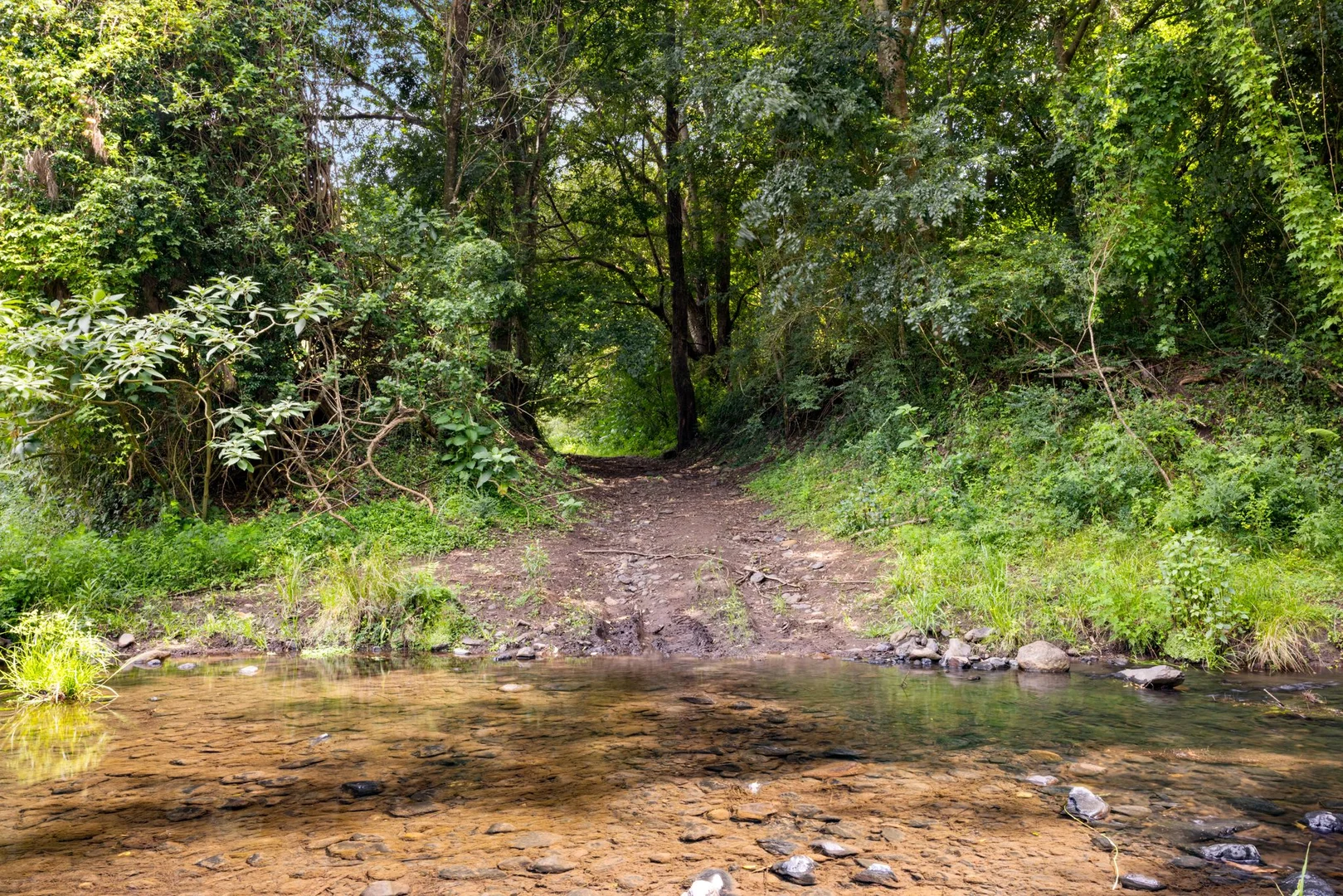 Additional image 21 of 154 Sawpit Creek Road, Findon Creek NSW 2474