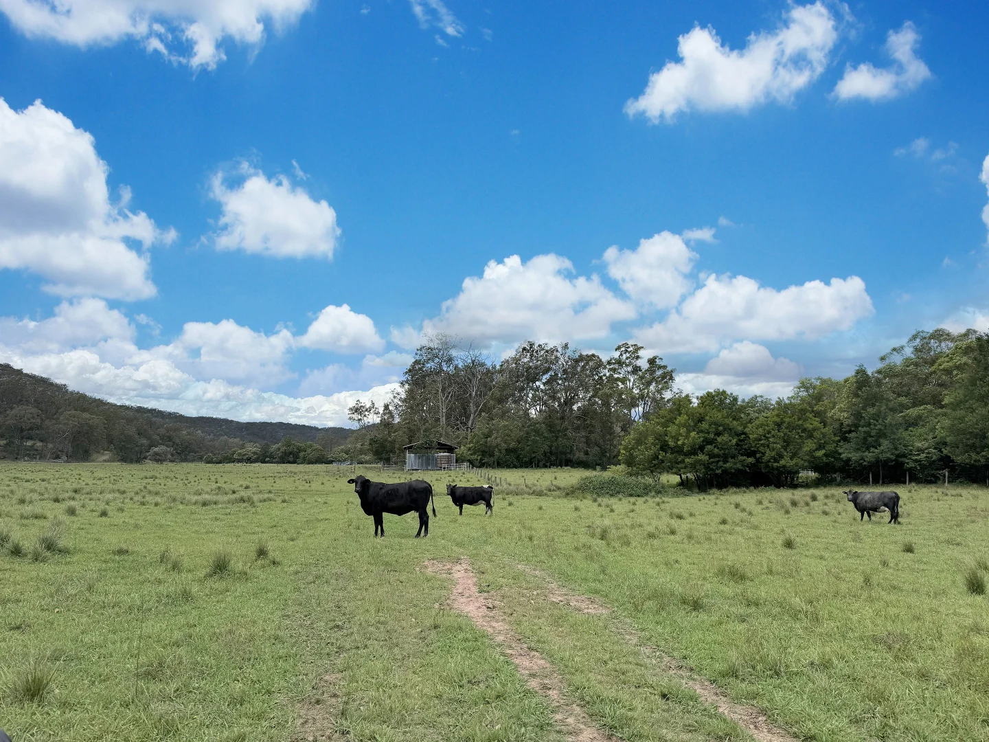 Additional image 30 of 281 Watagan Creek Rd, Laguna NSW 2325