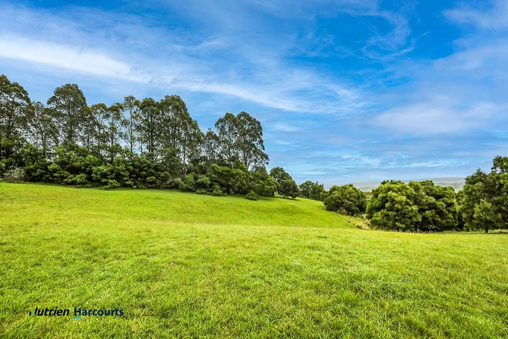 Additional image 20 of 506 Sawyers Ridge Road, Reidsdale NSW 2622