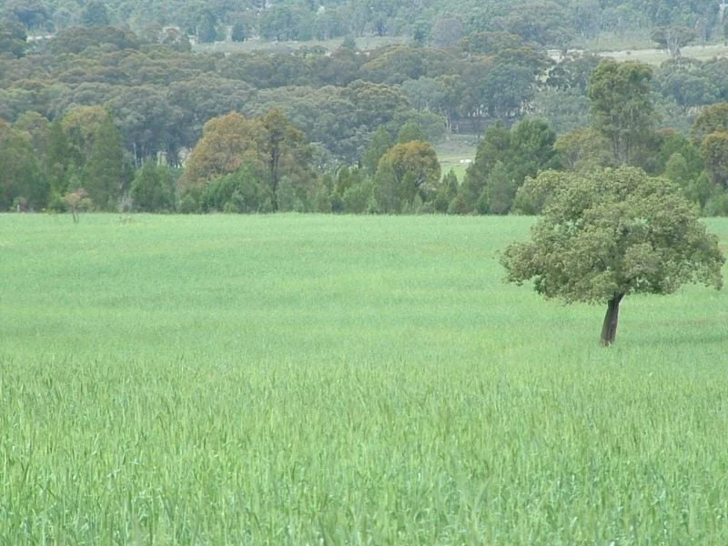 Additional image 6 of 325 Toorawandi Road, Ulamambri NSW 2357