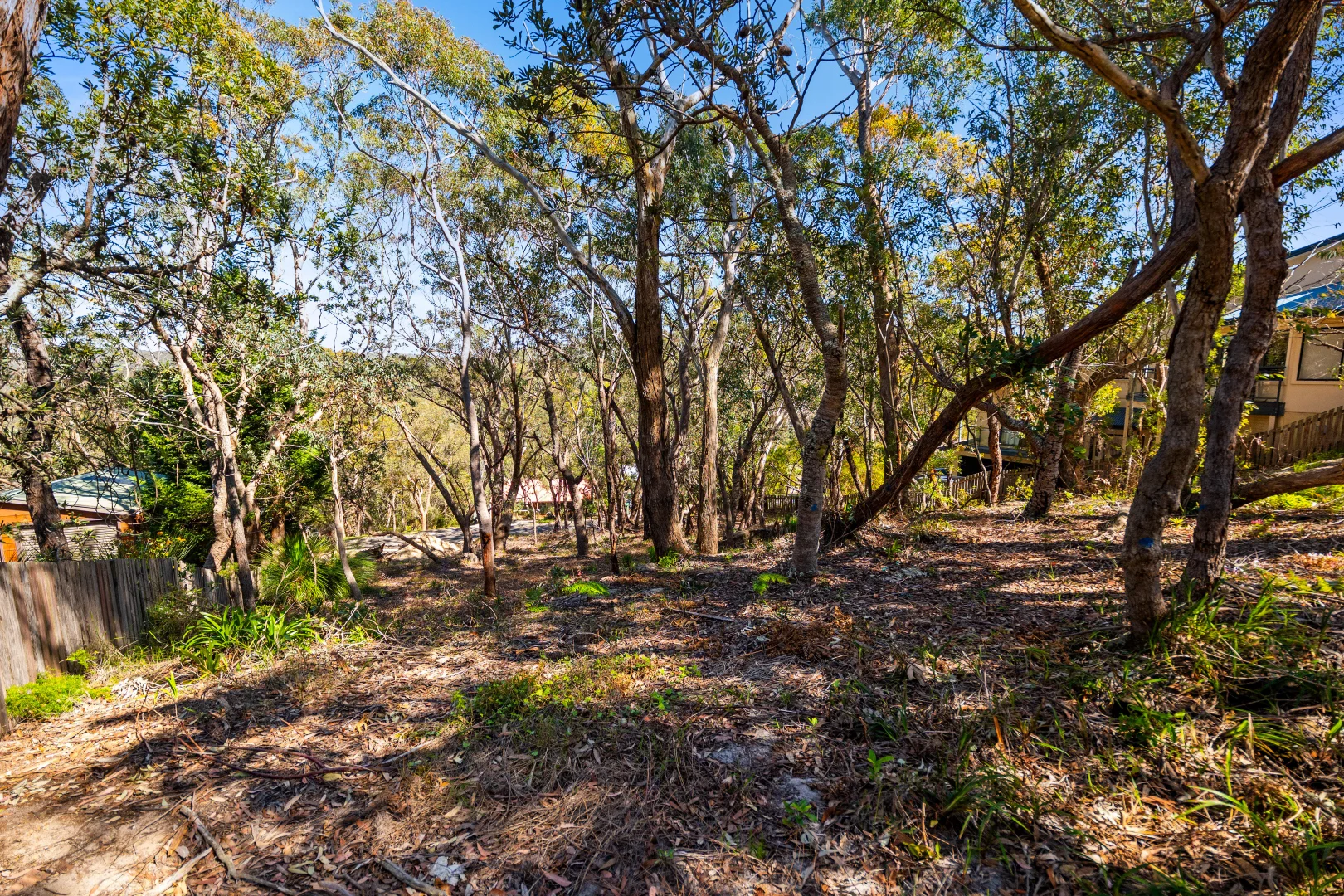 Additional image 2 of 30 Chapman Avenue, Linden NSW 2778