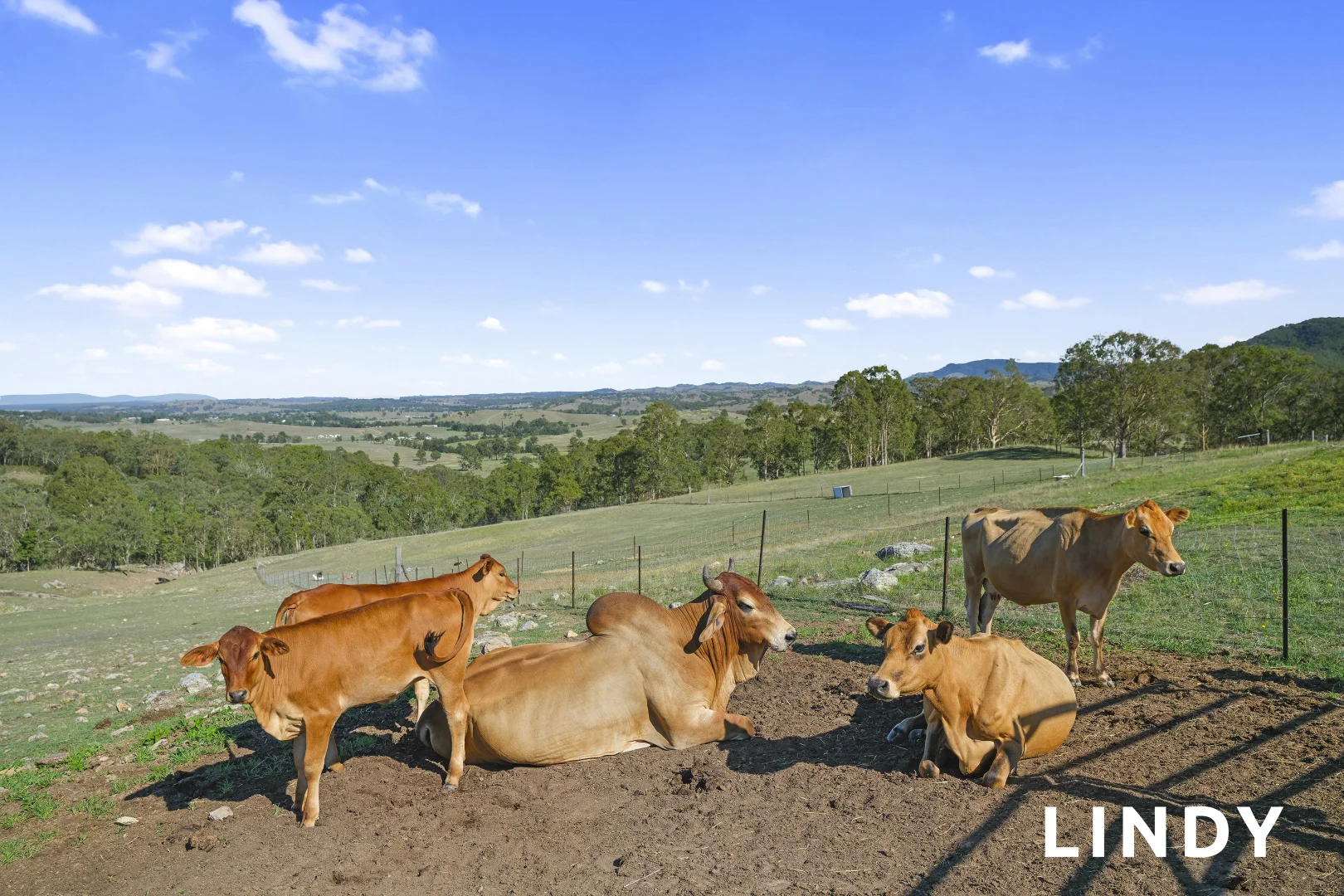 Additional image 17 of 89 Tangory Rise, Glendon Brook NSW 2330