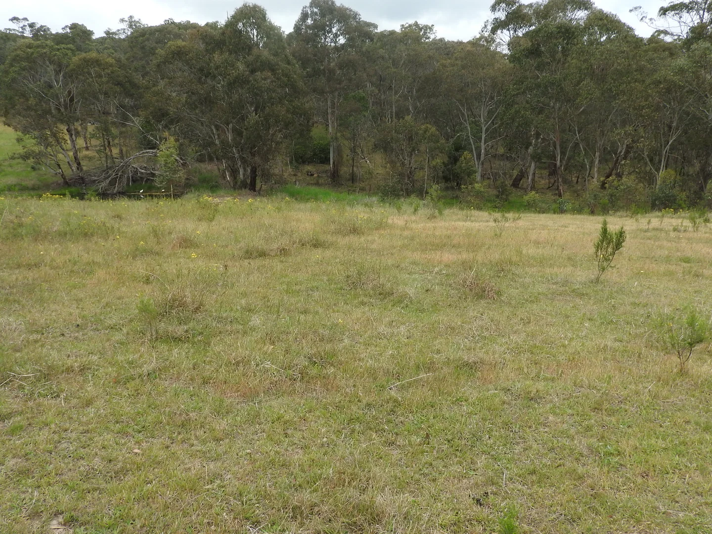 Additional image 6 of 158 Sunny Corner Road, Portland NSW 2847