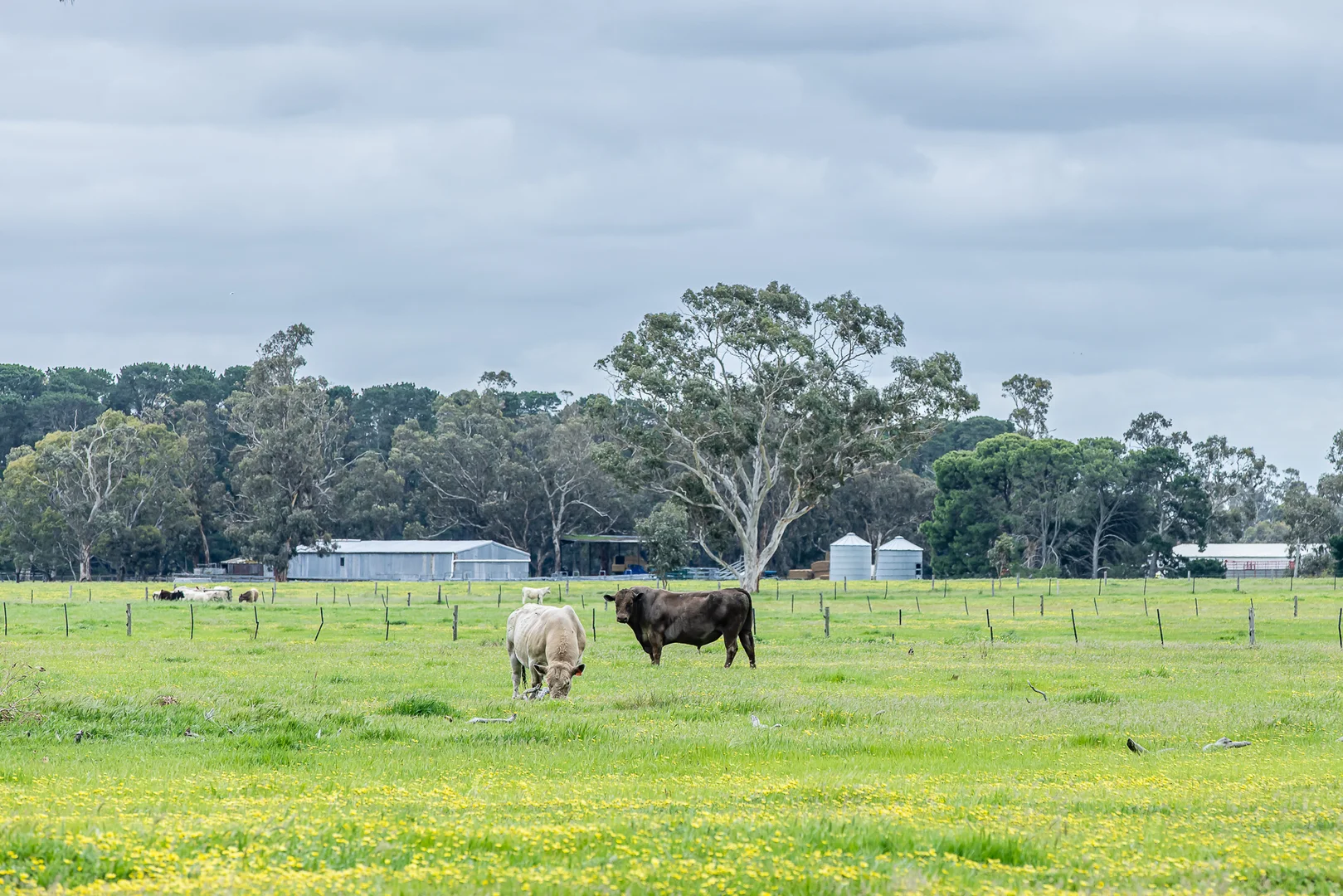 Additional image 11 of 520 Walkington Hills Road, Bangham SA 5268