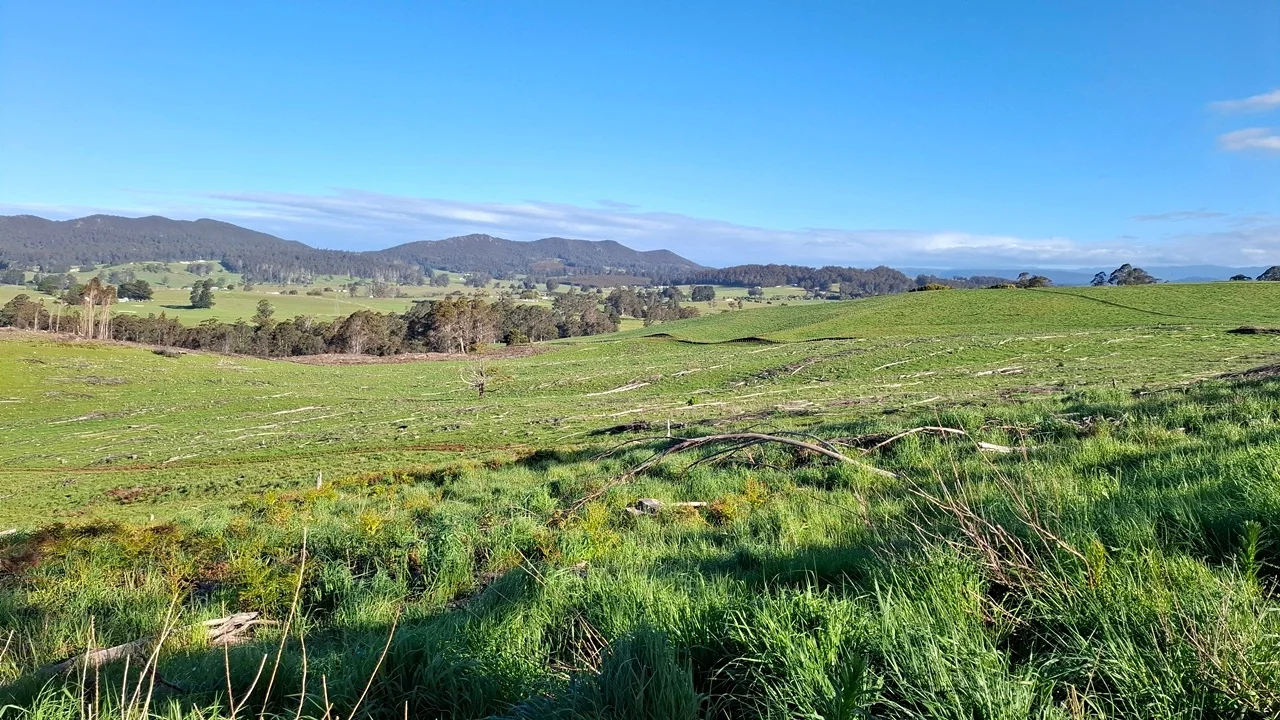 Additional image 14 of 108 Weeks Road, Barrington TAS 7306