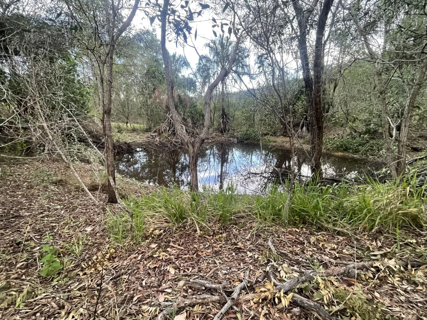 Additional image 19 of 99 Hemmings Road, Gootchie QLD 4650