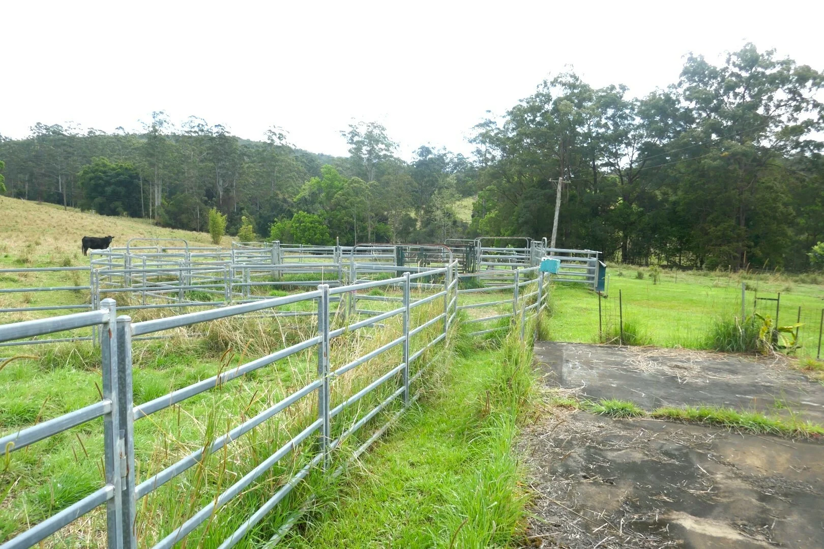 Additional image 16 of 66 Old Tweed Road, Wadeville NSW 2474