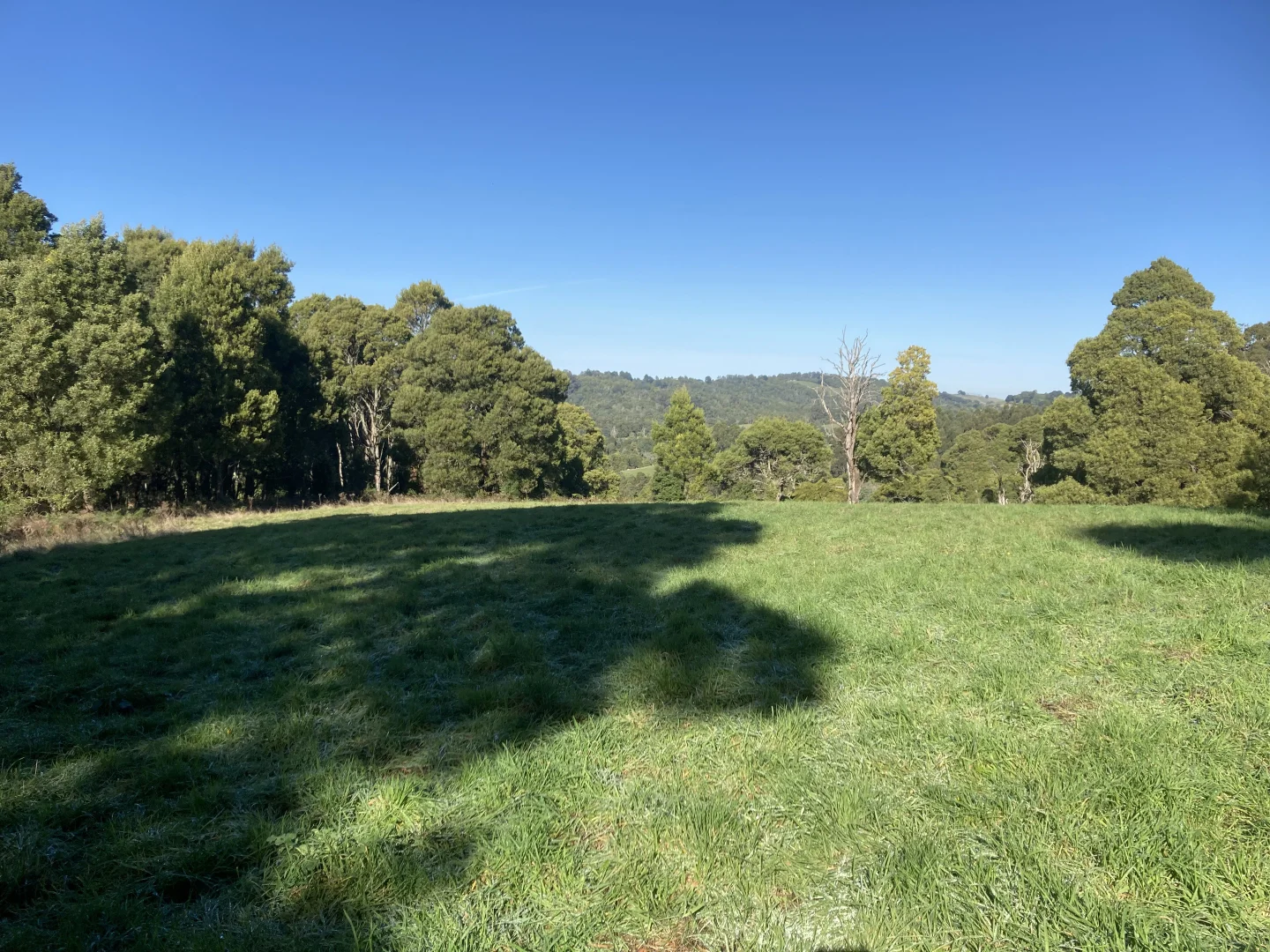 Additional image 10 of 65 Dykes Outlet Rd, Dollar VIC 3871