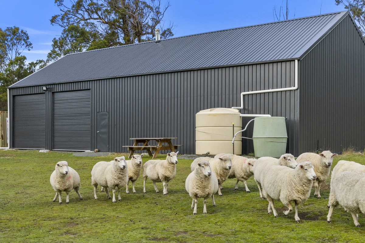 Additional image 12 of 1 & 2 Bresnehans Road, Little Swanport TAS 7190