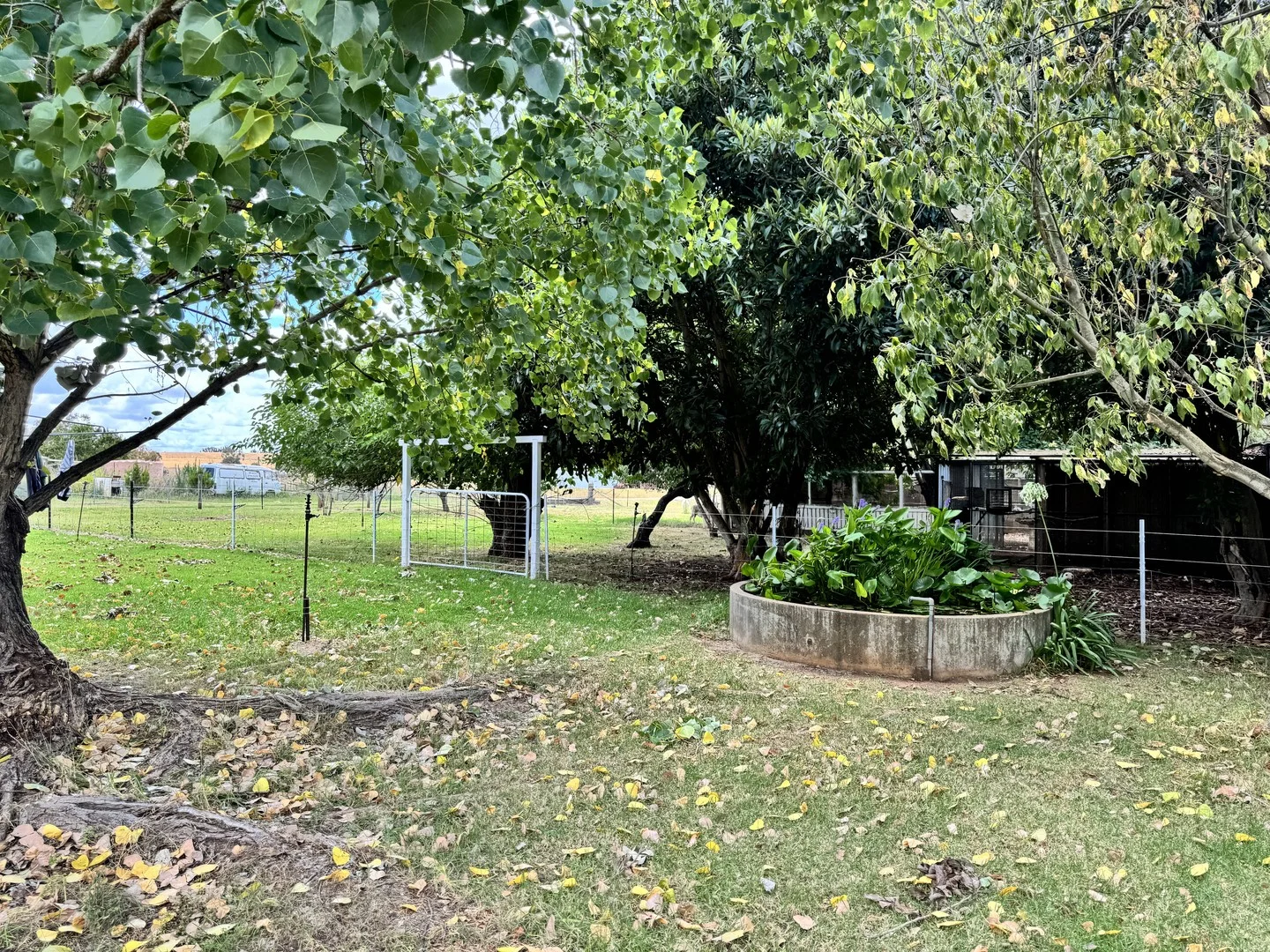 Additional image 24 of 3760 Bundarra Rd Gilgai, Inverell NSW 2360