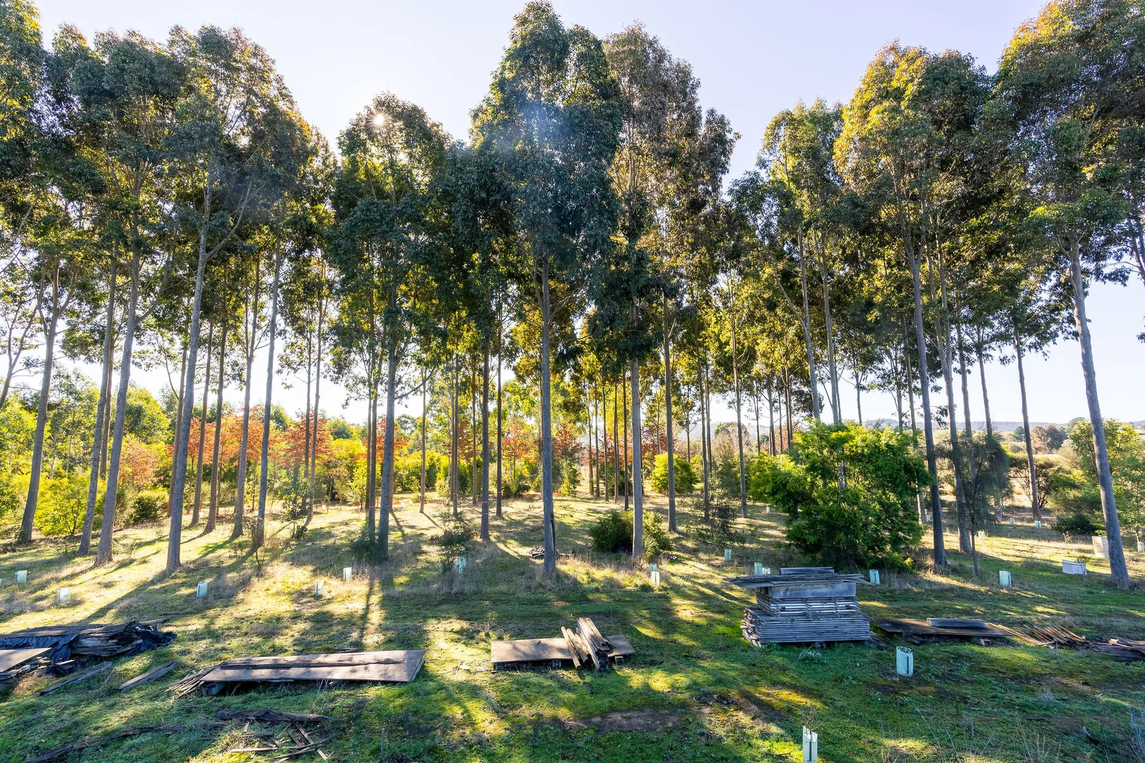 Additional image 7 of 252 Taggerty - Thornton Road, Taggerty VIC 3714