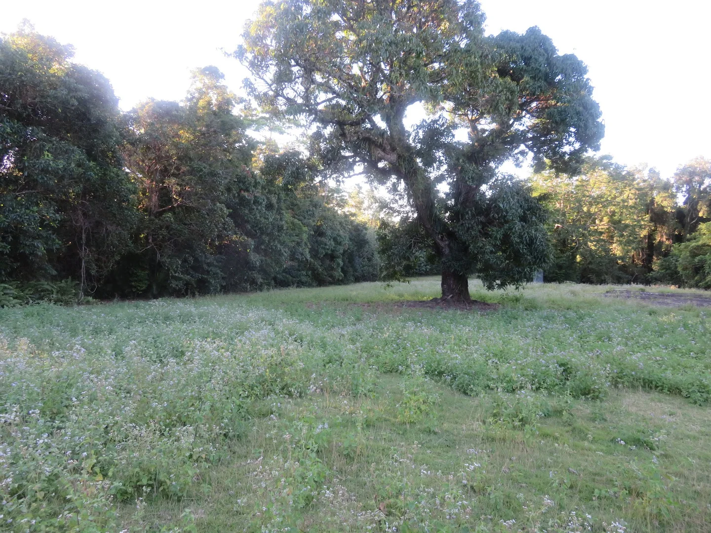 Additional image 9 of 364 Coquette Point Road, Coquette Point QLD 4860