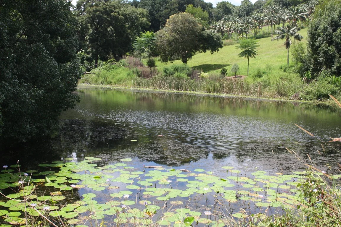 Additional image 3 of 709 Federal Drive, Federal NSW 2480