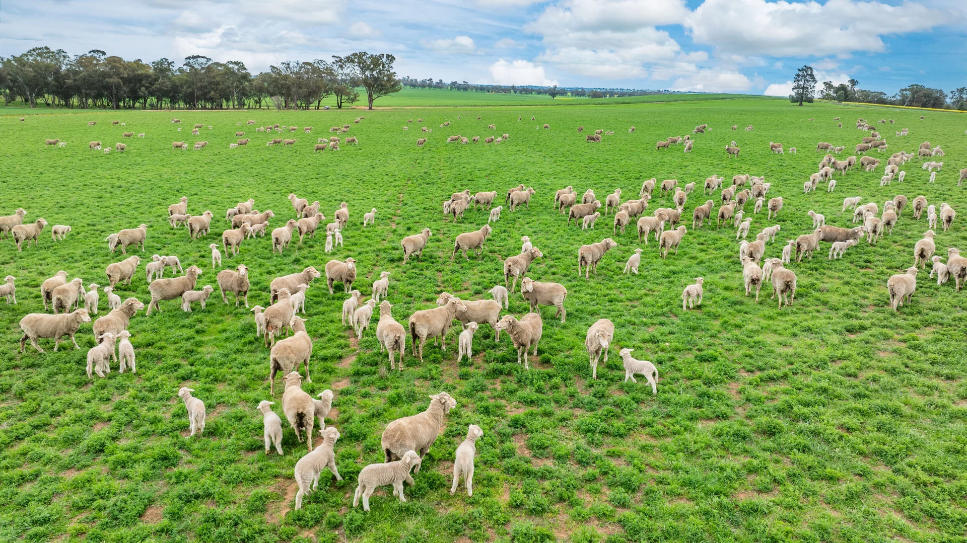 Additional image 10 of 1516 Osborne Pleasant HIlls Road, Pleasant Hills NSW 2658