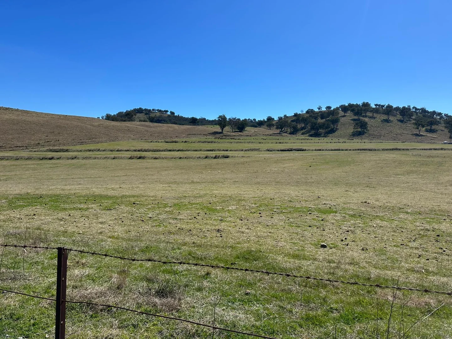 Additional image 33 of 2991 Halls Creek Road, Halls Creek NSW 2346