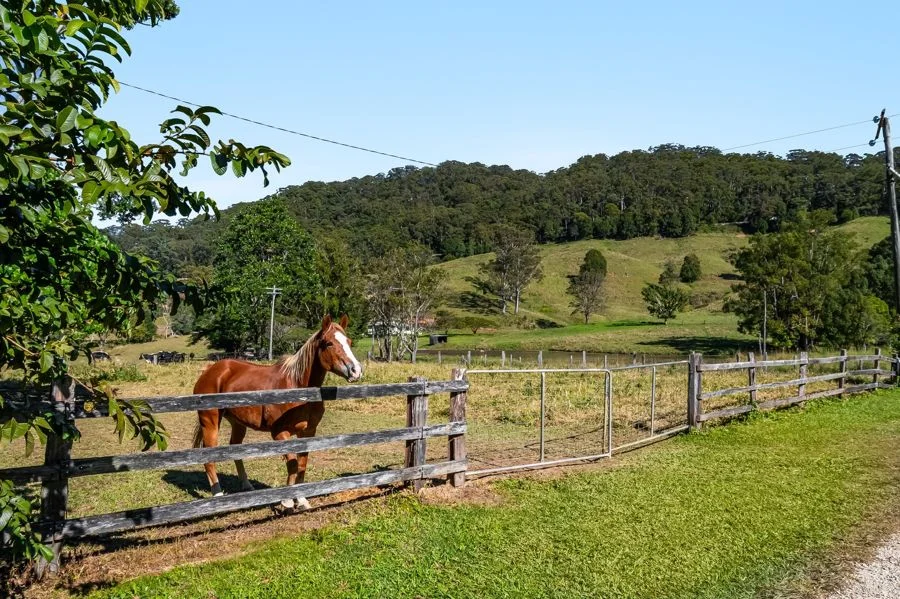 Additional image 8 of 102 Harwood Road, Burringbar NSW 2483