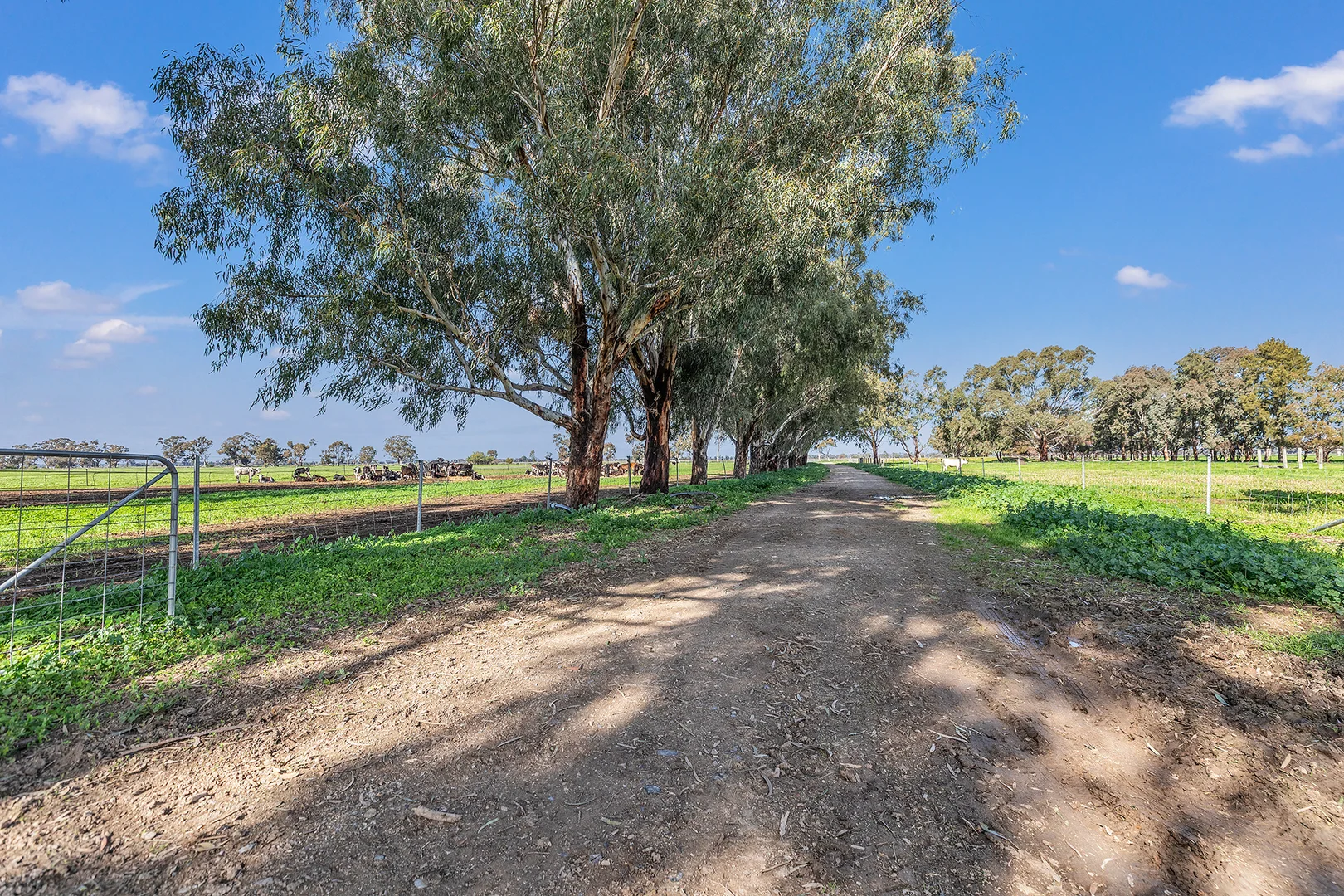 Additional image 48 of 341 Murray Valley Highway, Strathmerton VIC 3641