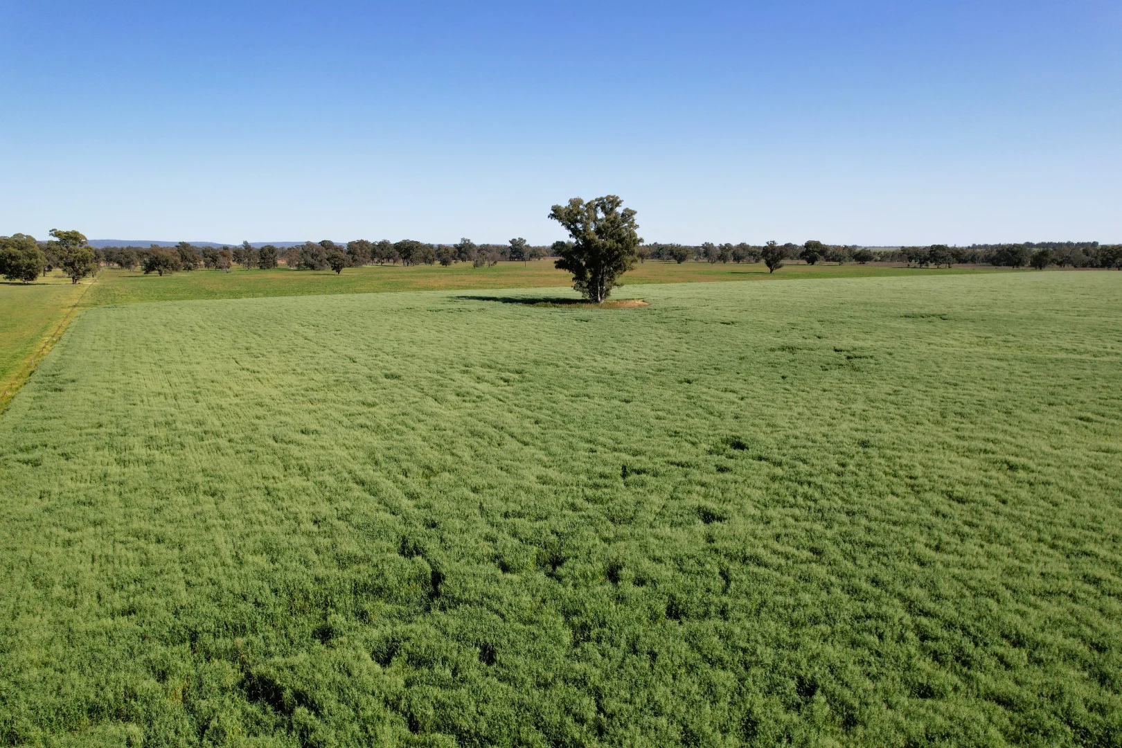 Additional image 8 of 1715 The Bogan Way, Forbes NSW 2871