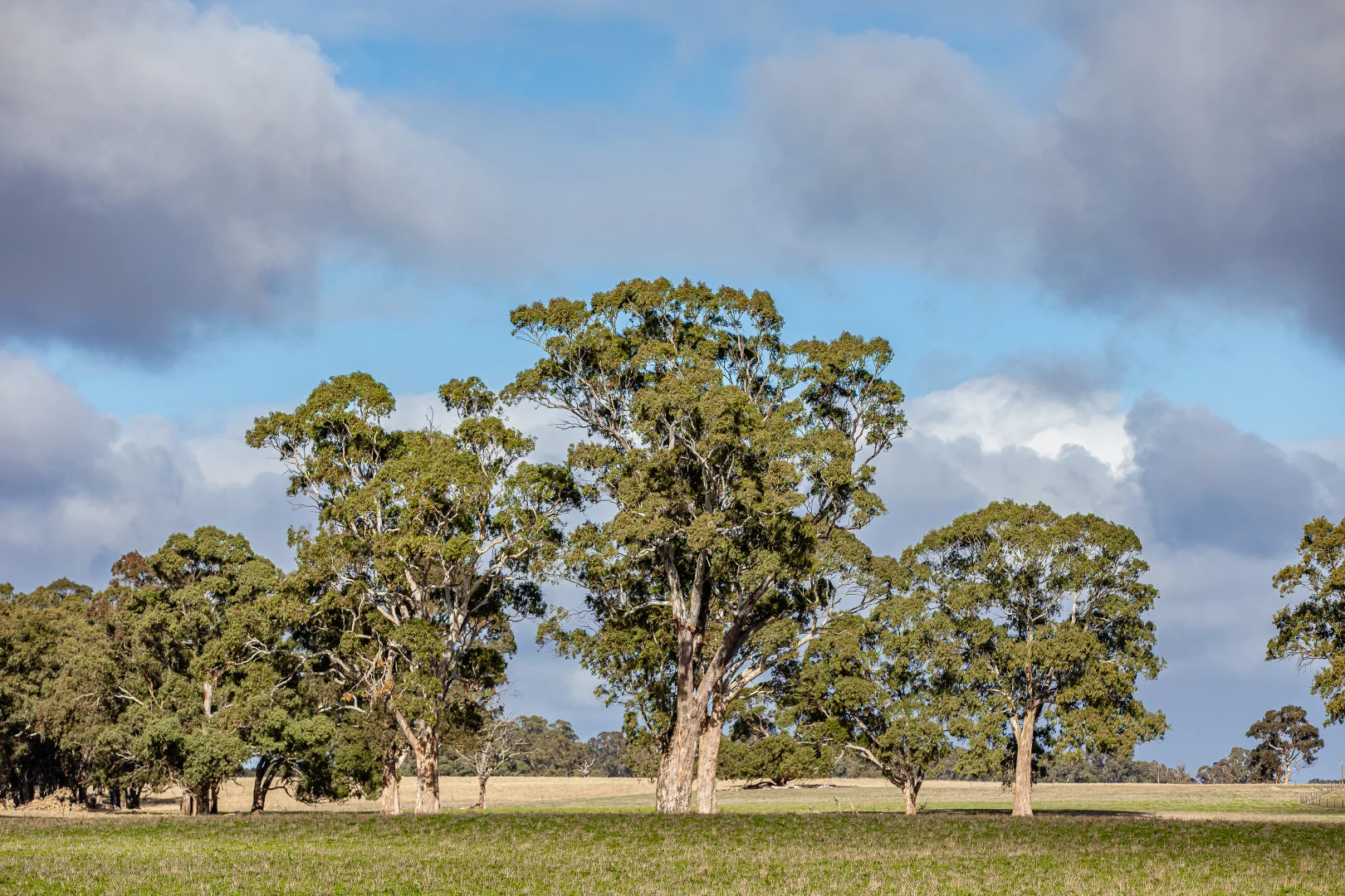 Additional image 14 of 1911 Cadgee Road, Naracoorte SA 5271
