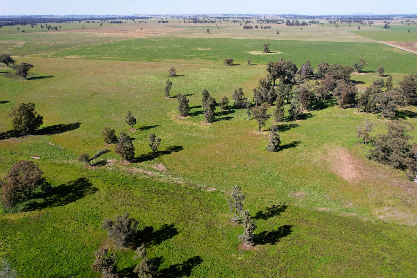 Additional image 9 of 1715 The Bogan Way, Forbes NSW 2871