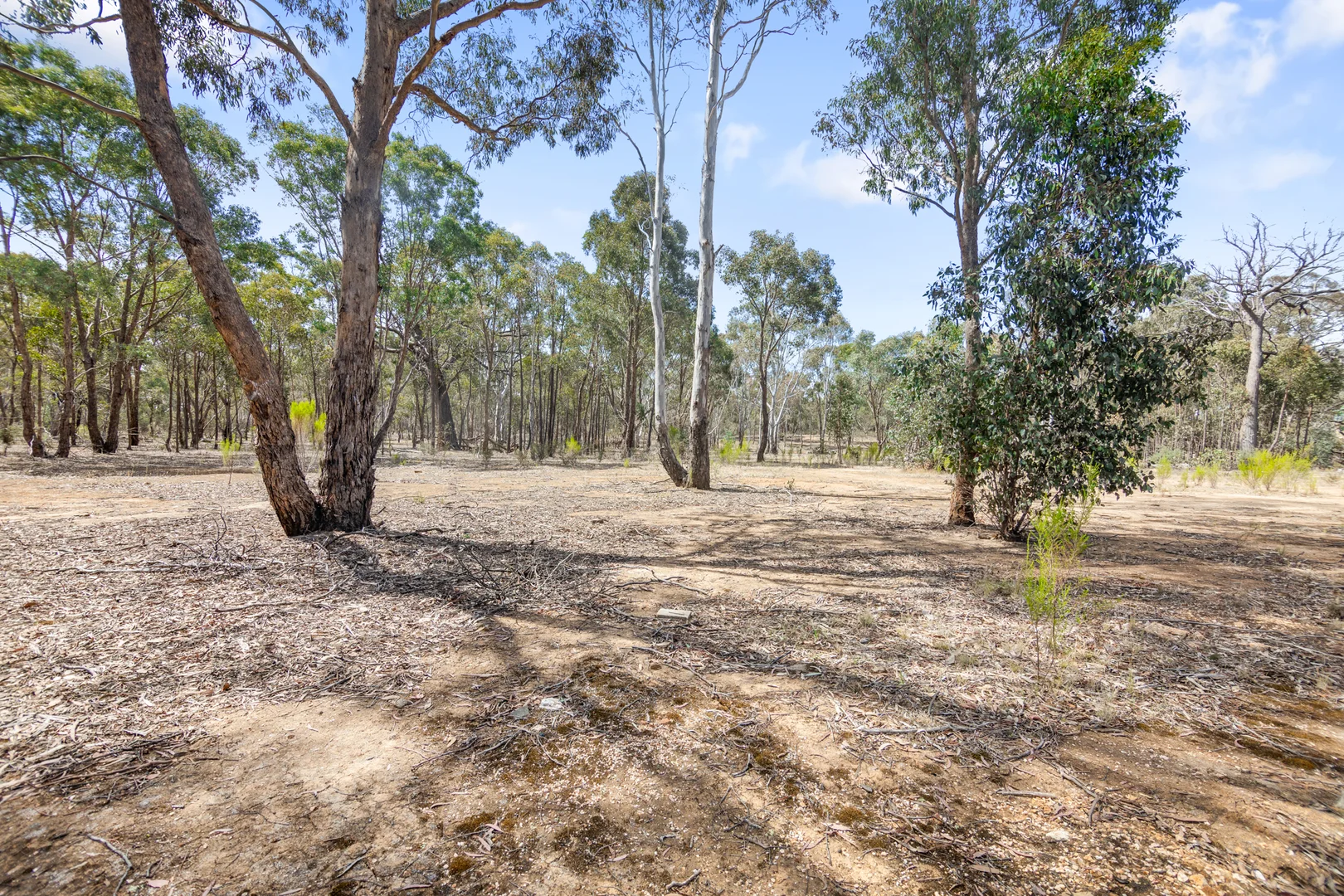 Additional image 17 of 3 Deason Road, Stuart Mill VIC 3477
