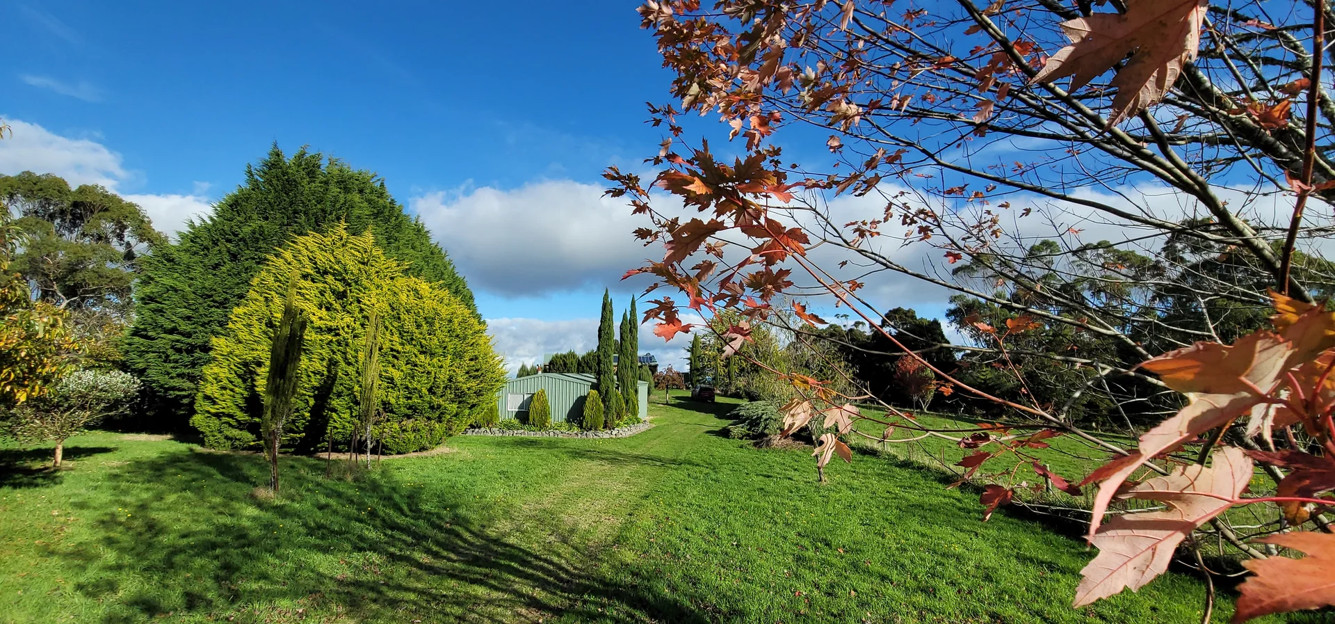 Additional image 32 of 420 Amiets Road, Wyelangta VIC 3237