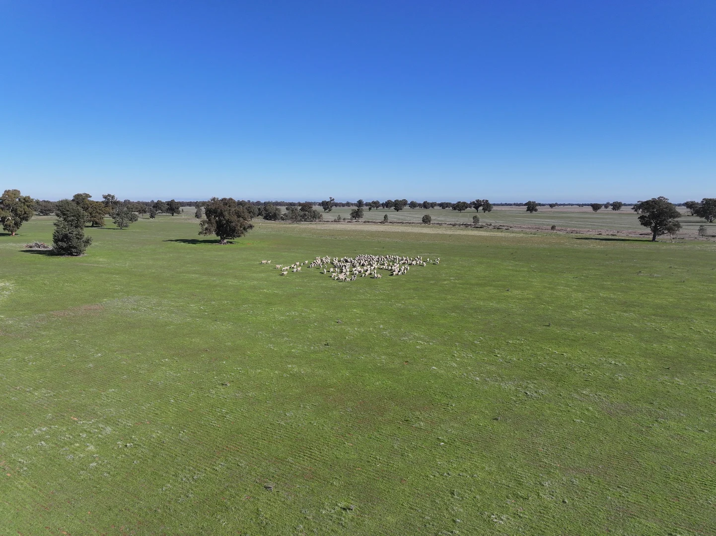 Additional image 12 of Berrigan Oaklands Road, Berrigan NSW 2712