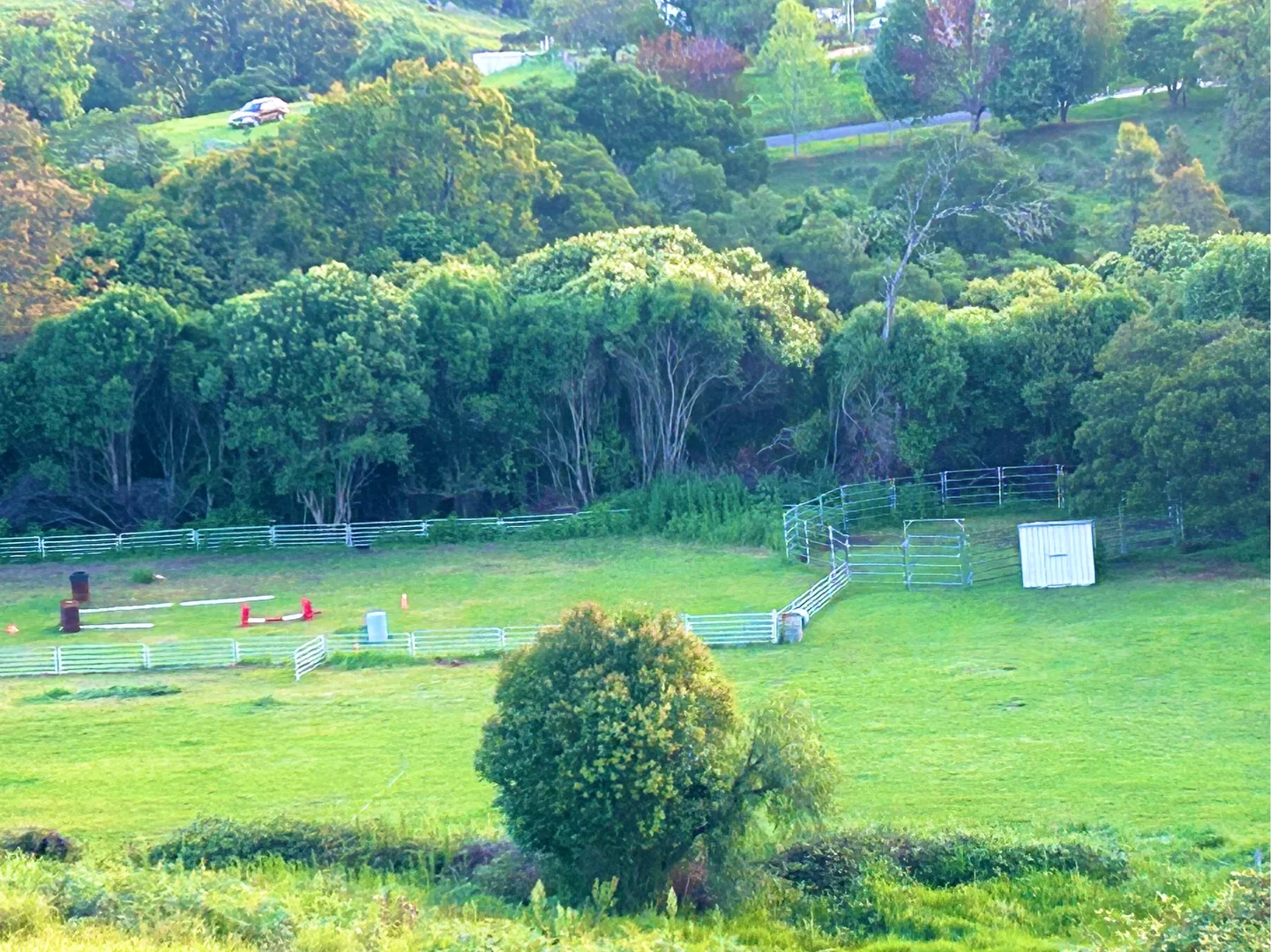 Additional image 4 of 176 Daisy Hill Road, Buckajo NSW 2550