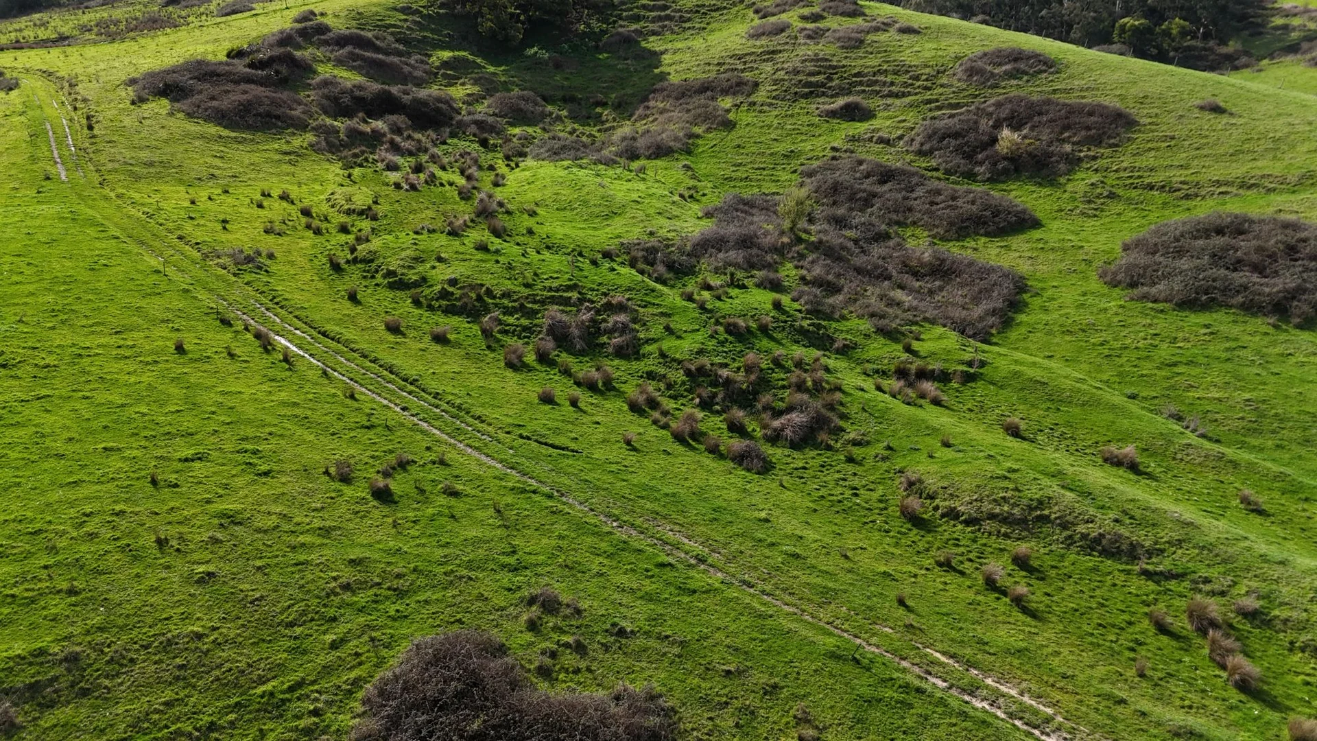 Additional image 22 of 141 BUNDERRA DRIVE, Boolarra VIC 3870