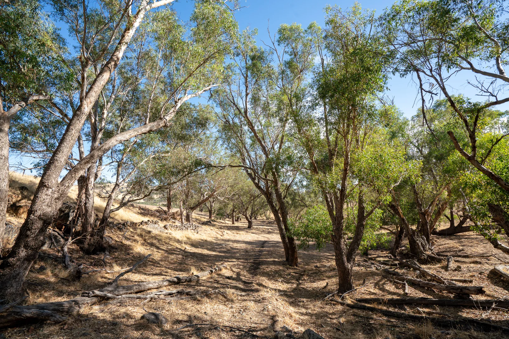 Additional image 10 of Toodyay WA 6566