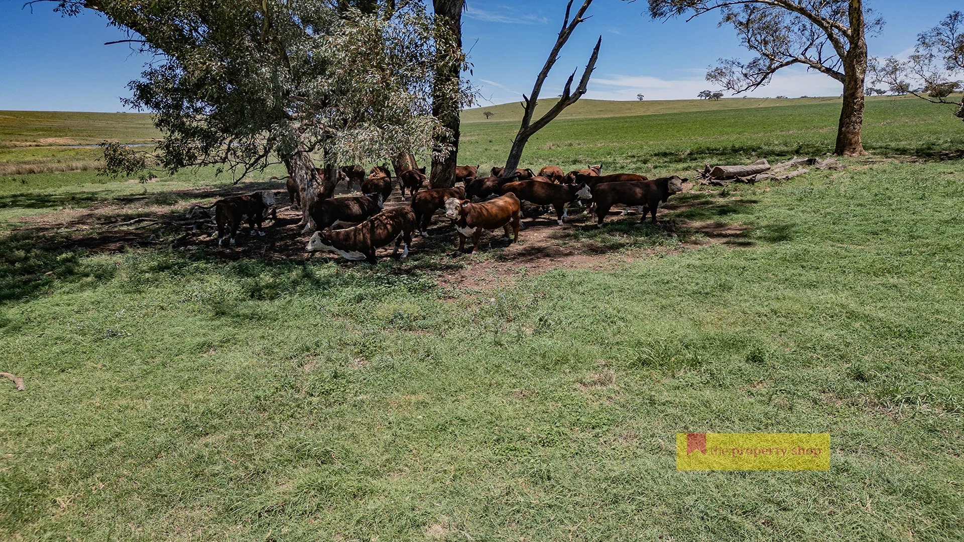 Additional image 14 of 735 Kaludabah Road, Mudgee NSW 2850