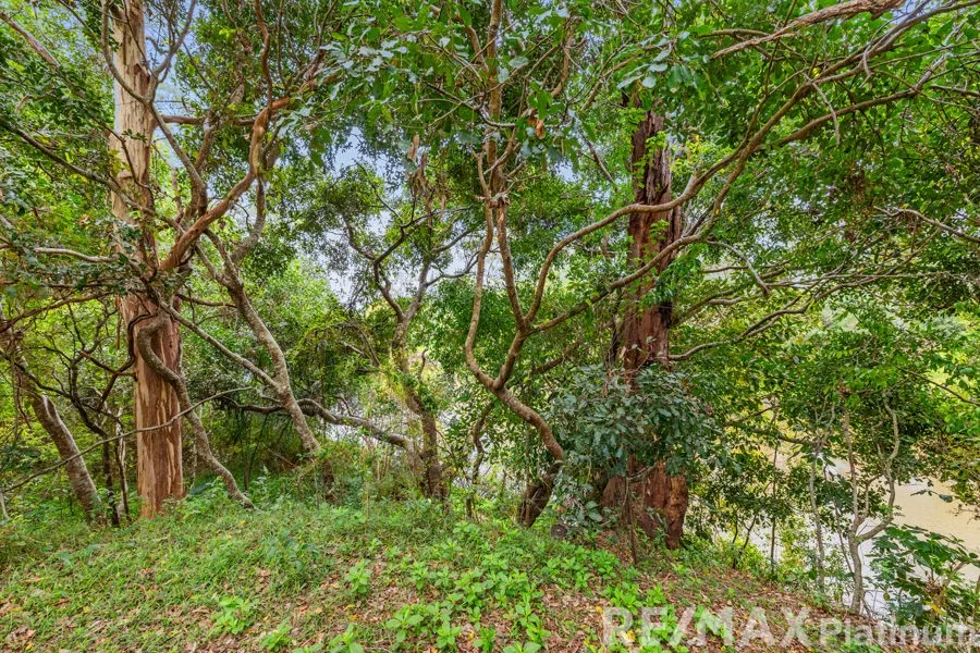 Additional image 10 of 158 Trafalgar Drive, Morayfield QLD 4506