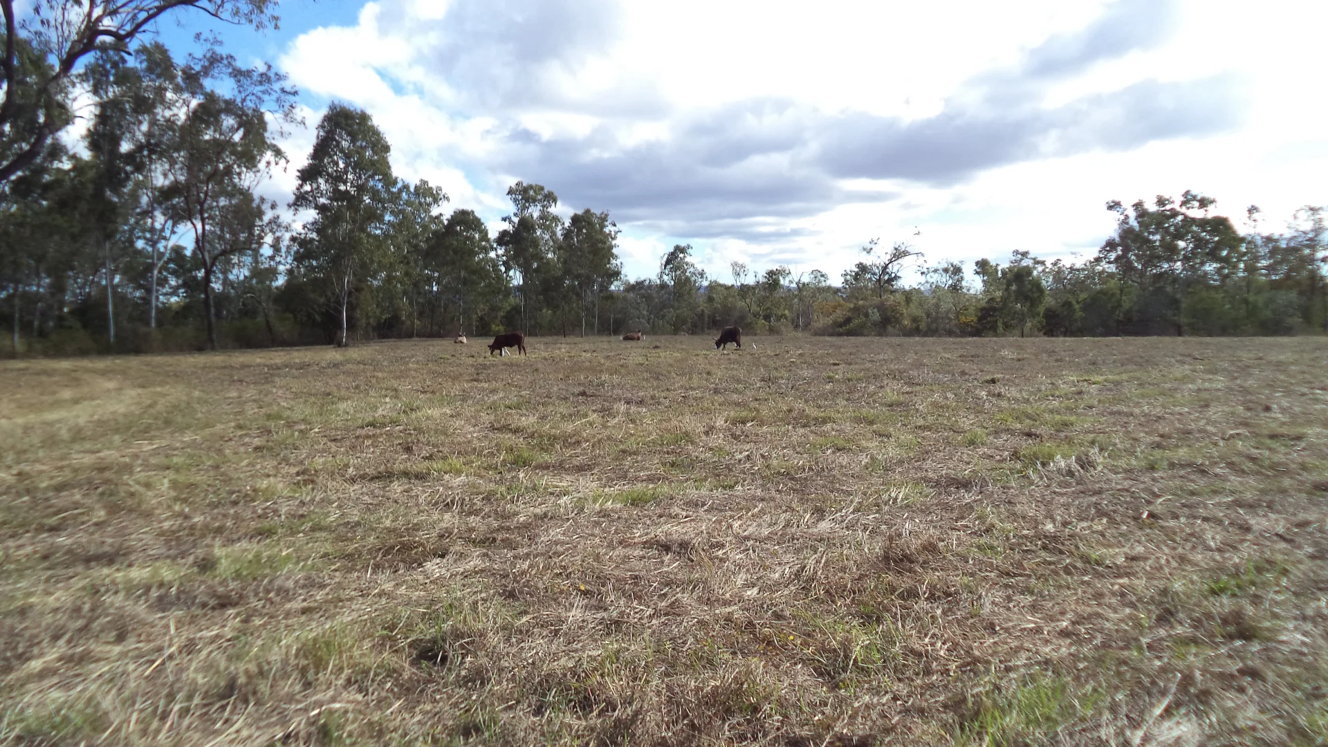 Additional image 17 of 158 Hodzic Rd, Biboohra QLD 4880