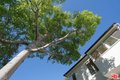 Additional image 31 of 2401 Meadow Valley Ter, Los Angeles, CA, 90039