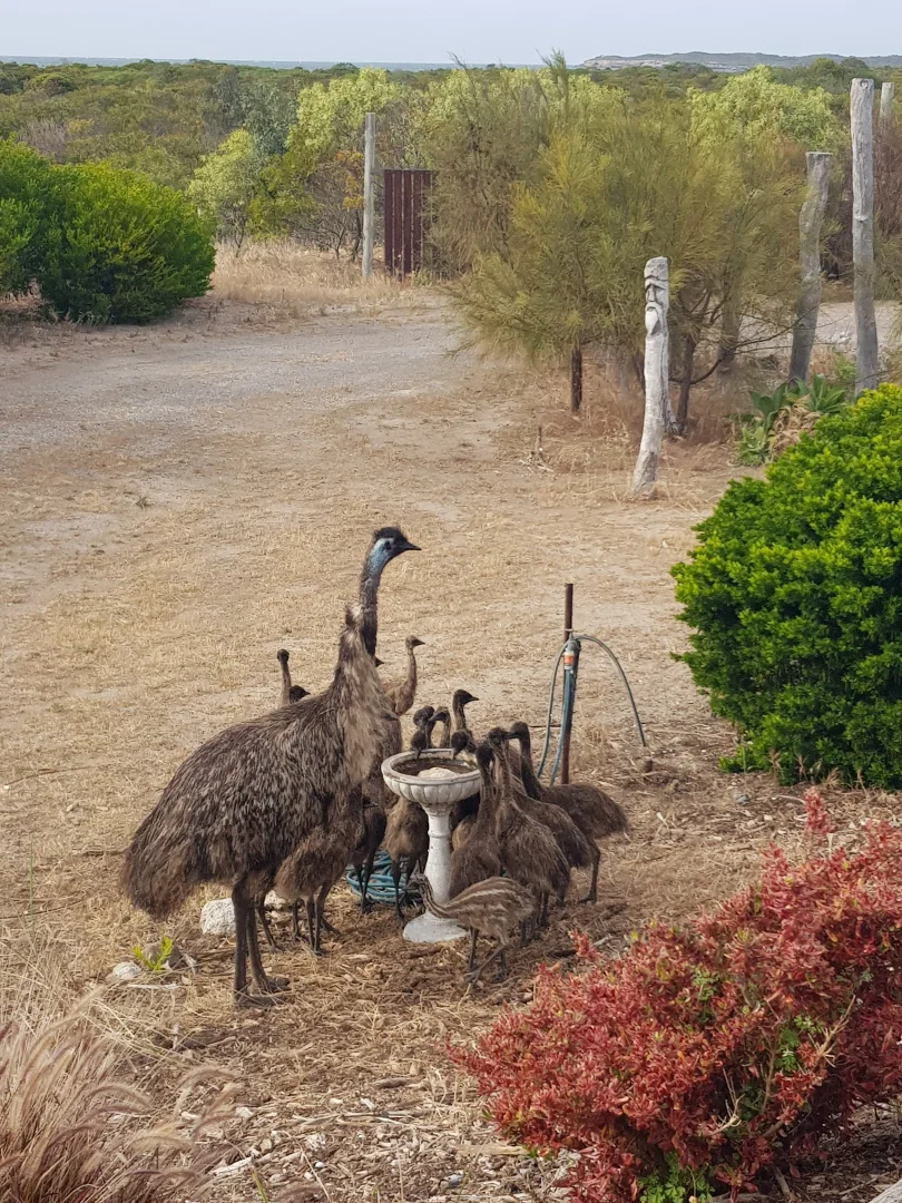 Additional image 29 of 17445 Yorke Hwy, Marion Bay SA 5575