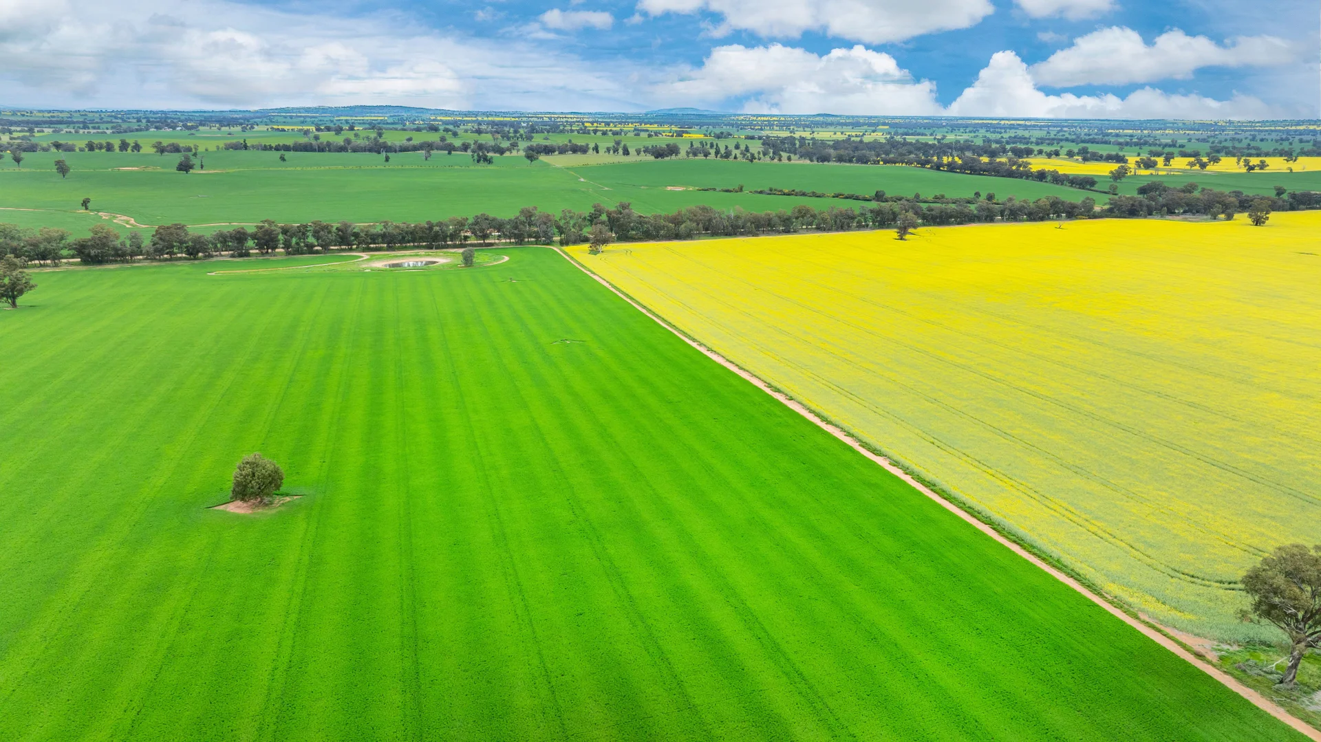 Additional image 6 of 1516 Osborne Pleasant HIlls Road, Pleasant Hills NSW 2658