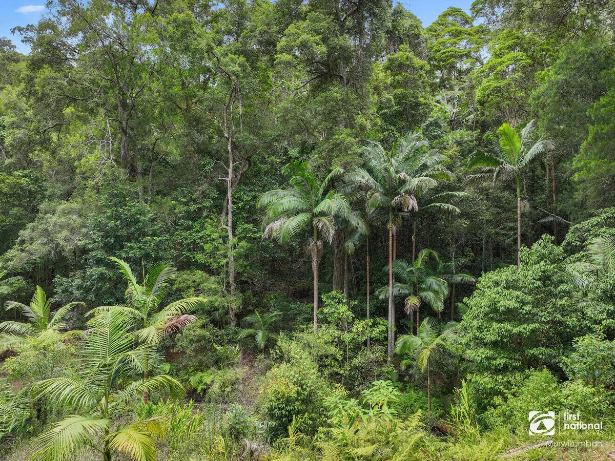 Additional image 10 of 563 Commissioners Creek Road, Commissioners Creek NSW 2484