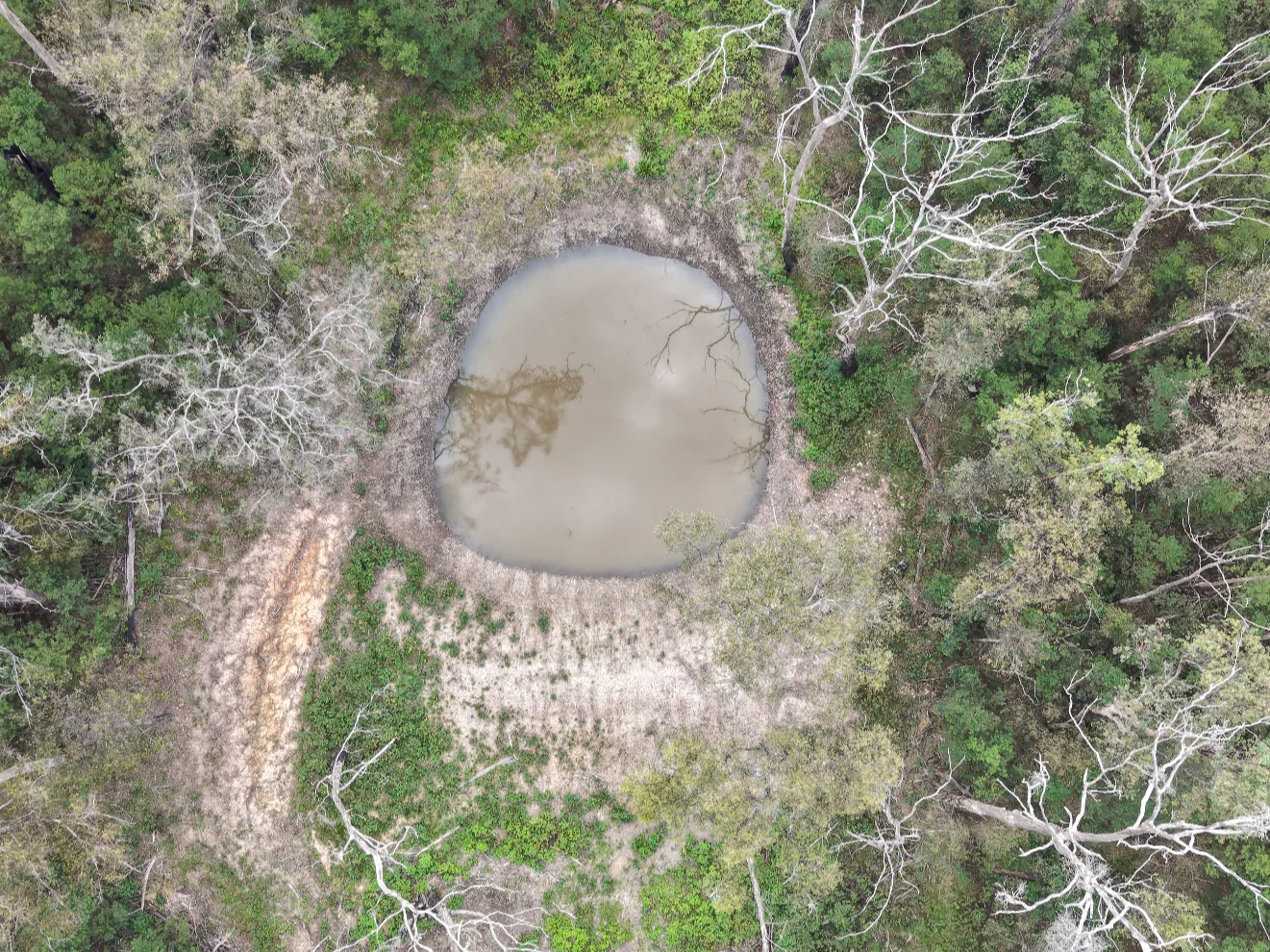 Additional image 7 of Narooma NSW 2546