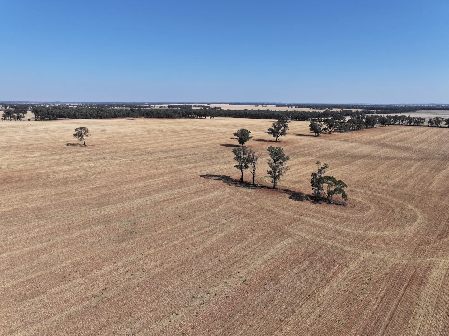 Additional image 11 of 'Wattlevale' 875 Schmidts Lane, Gidginbung NSW 2666