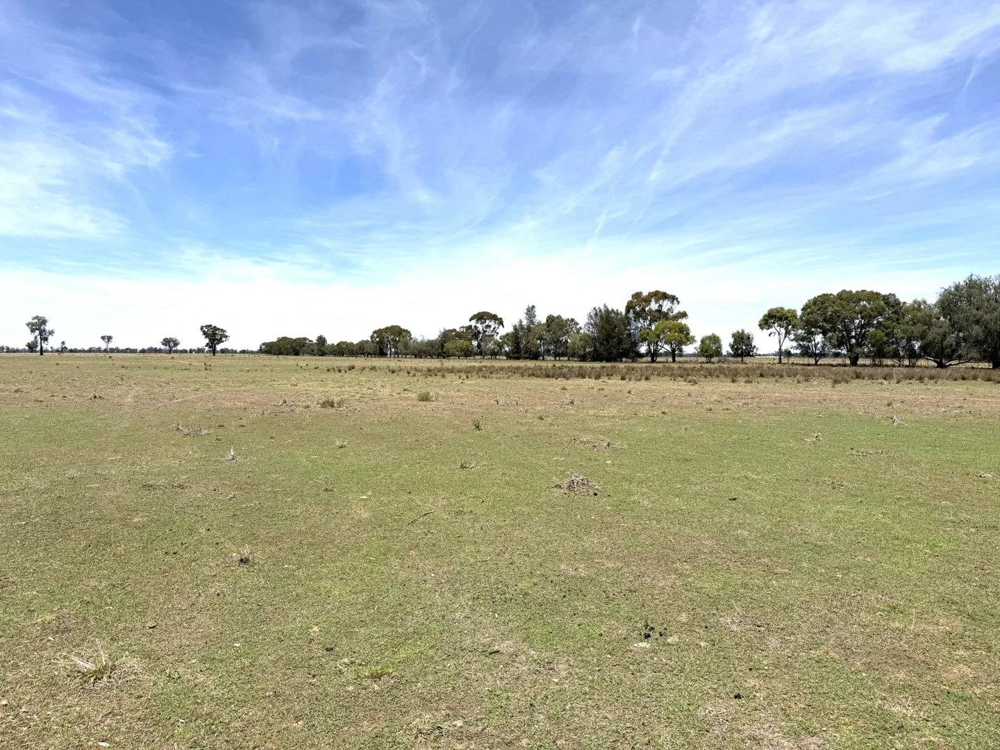 Additional image 12 of 1539 Bland Road, Quandialla NSW 2721