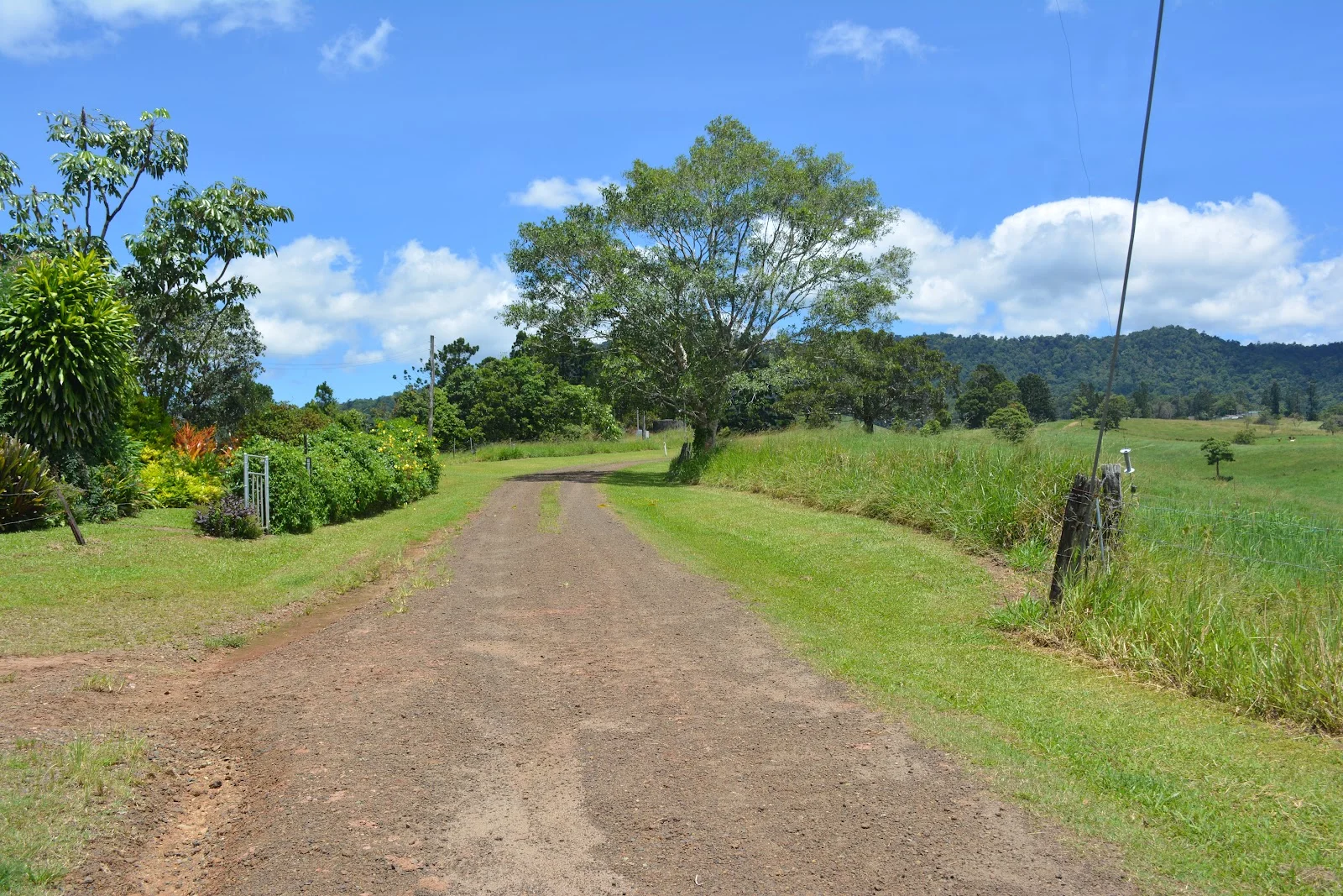 Additional image 64 of 780 MIDDLEBROOK ROAD, Millaa Millaa QLD 4886