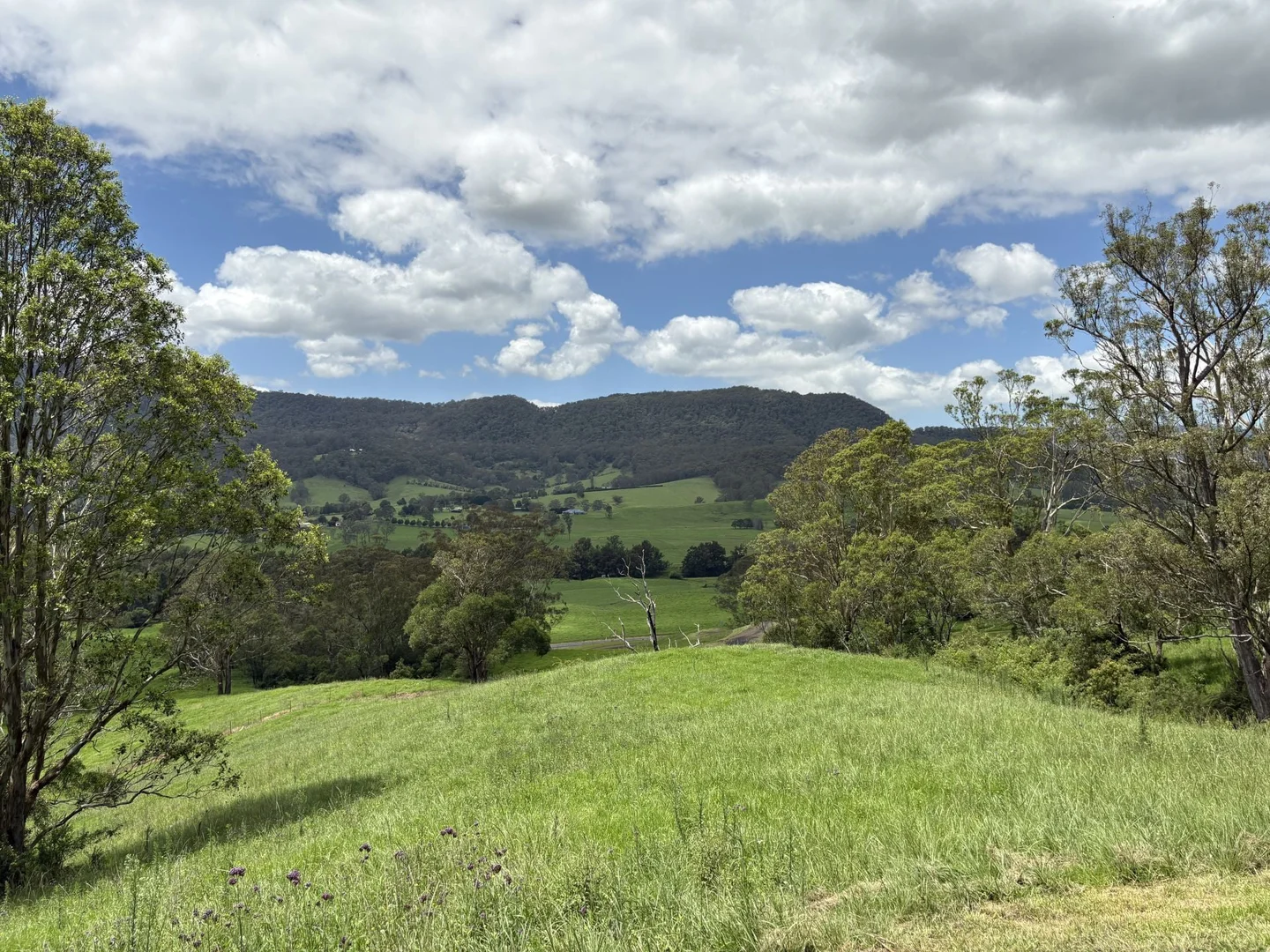 Additional image 19 of 2393 Moss Vale Road, Kangaroo Valley NSW 2577